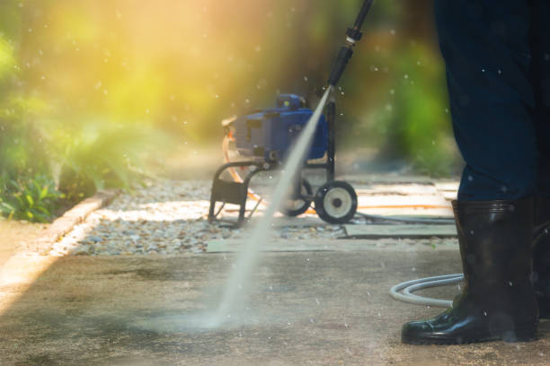 Best Solar Panel Cleaning  in Pomona, NJ